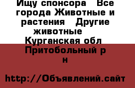 Ищу спонсора - Все города Животные и растения » Другие животные   . Курганская обл.,Притобольный р-н